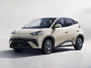 BYD Dolphin surf 30 kwh active