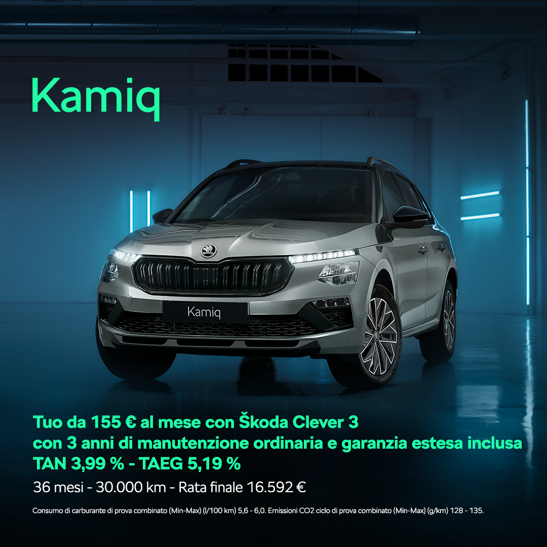 ŠKODA KAMIQ