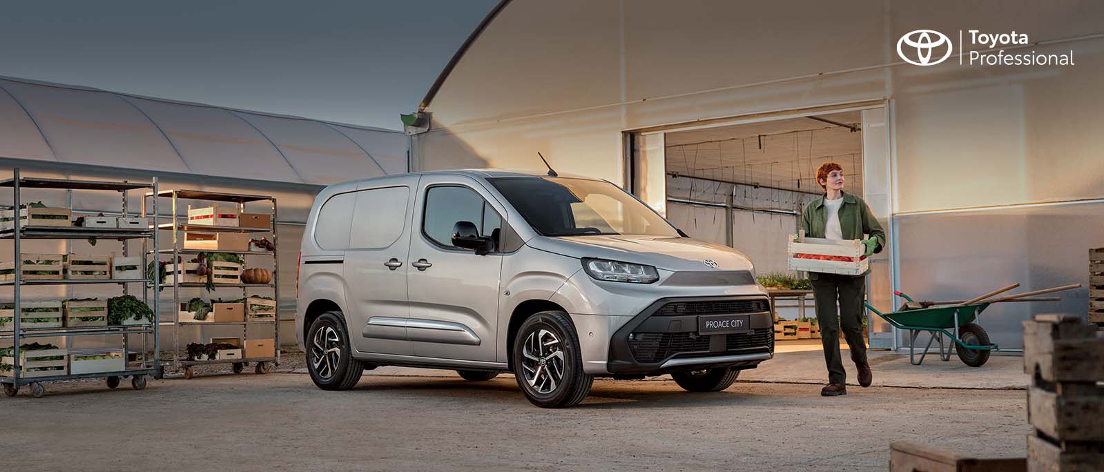 Chiappetta Veicoli Commerciali Toyota Proace City Cosenza Rende Calabria Desk (1)