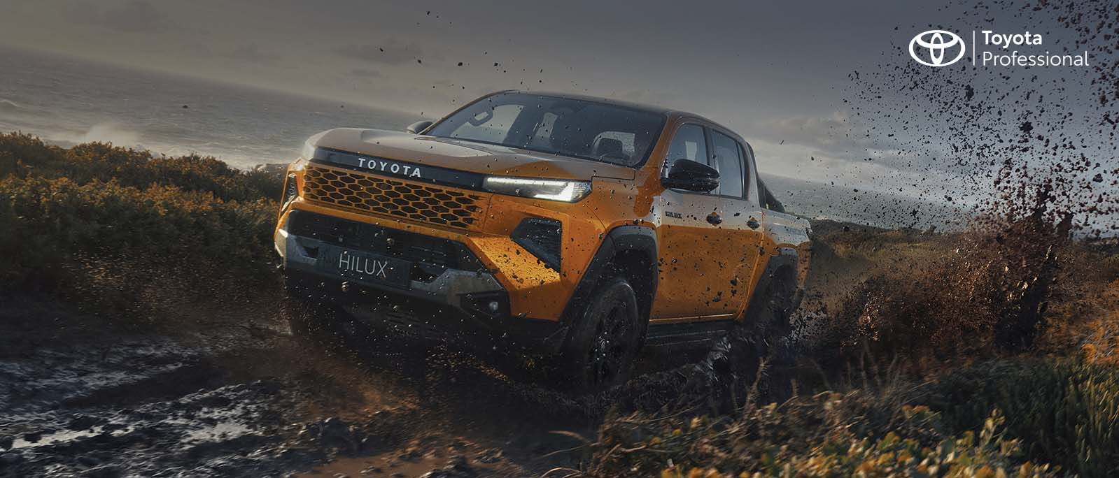Chiappetta Veicoli Commerciali Toyota Hilux Cosenza Rende Calabria Desk