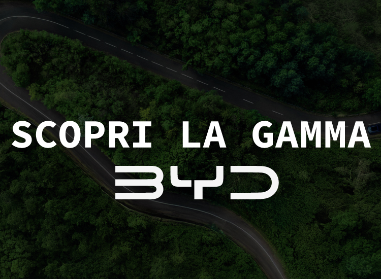 Interna BYD GRUPPO CHIAPPETTA