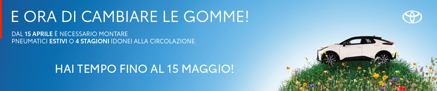 Cambio Gomme Calabria Pneumatici Cosenza Rende Estivi 4Stagioni Dunlop Michelin Falken Desk