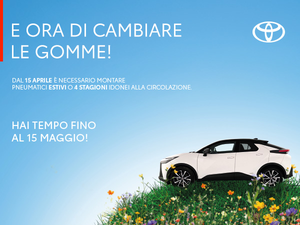 Cambio Gomme Calabria Pneumatici Cosenza Rende Estivi 4Stagioni Dunlop Michelin Falken