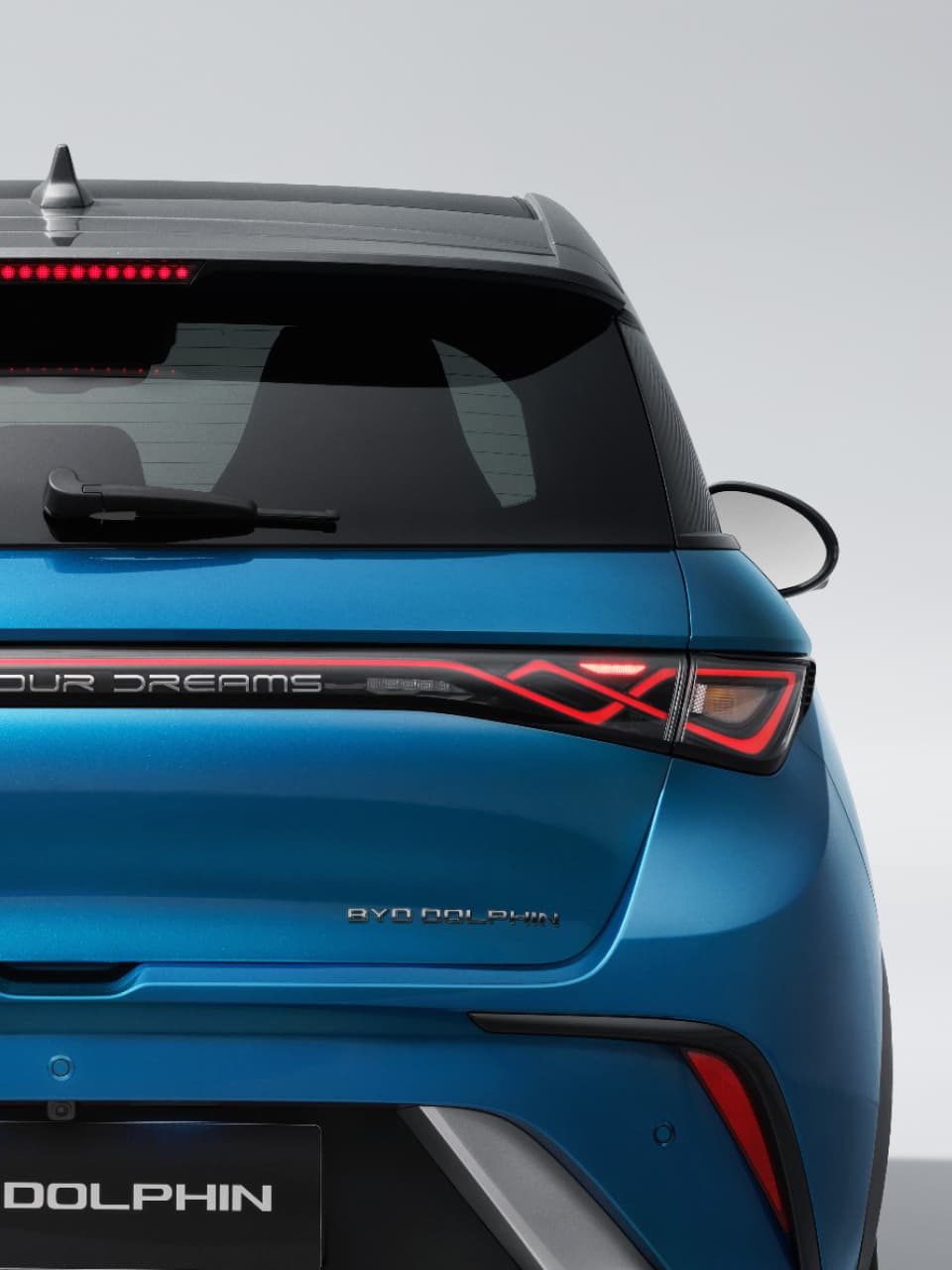 Dolphin Exterior 03 Xl