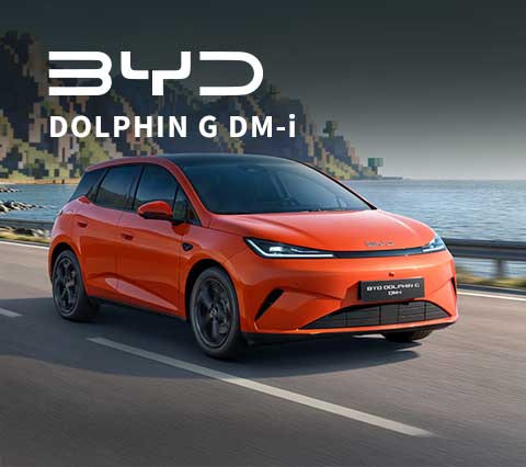 BYD DOLPHIN G CALABRIA COSENZA BYDCHIAPPETTA BYD DM I Fantasy (1)