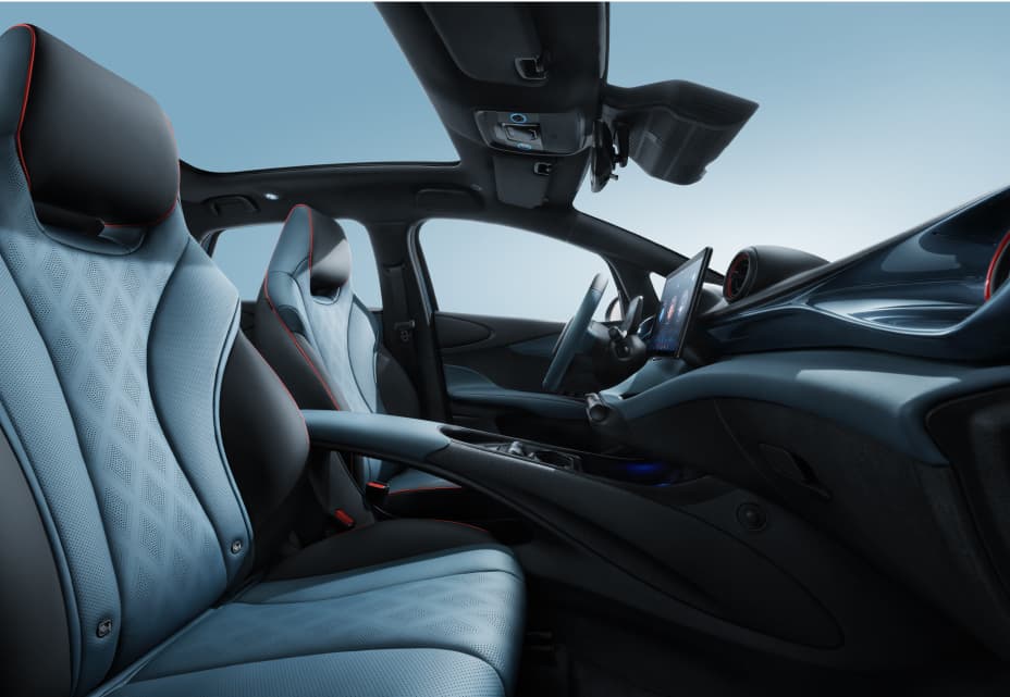 Dolphin Interior 04 L