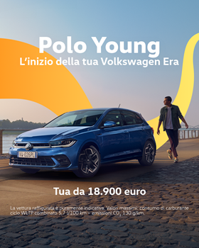 VW Dealer Link Polo 4X5