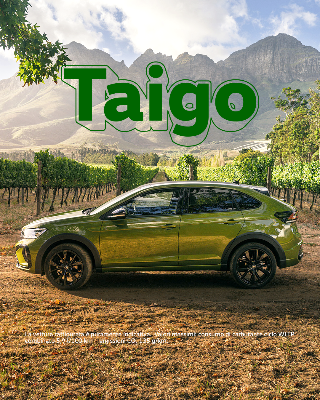 VW Dealer Traffico Taigo 1