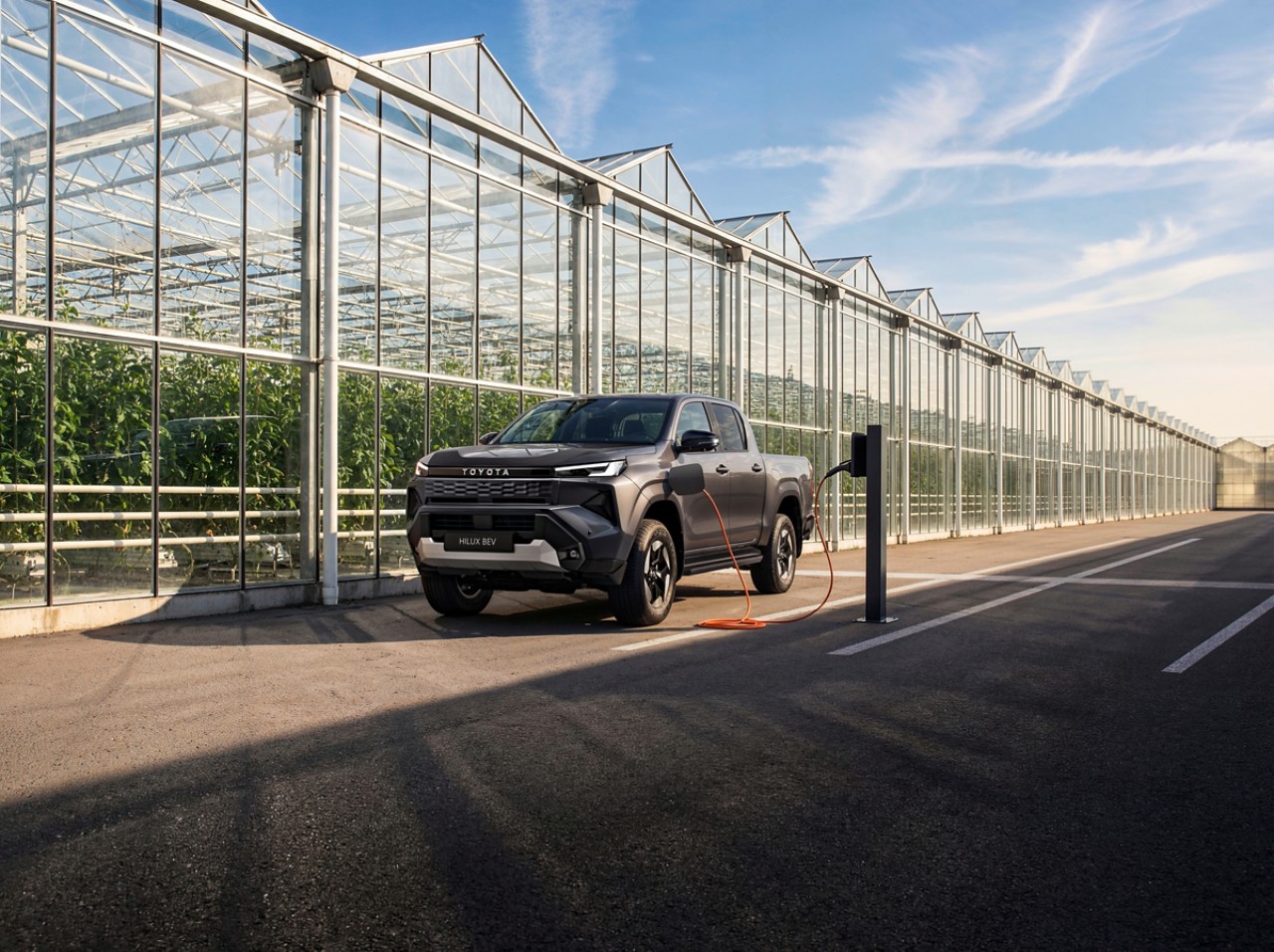 Toyota Chiappetta Professional Hilux Elettrico N1 Incentivi Statali Cosenza Rende Calabria N2