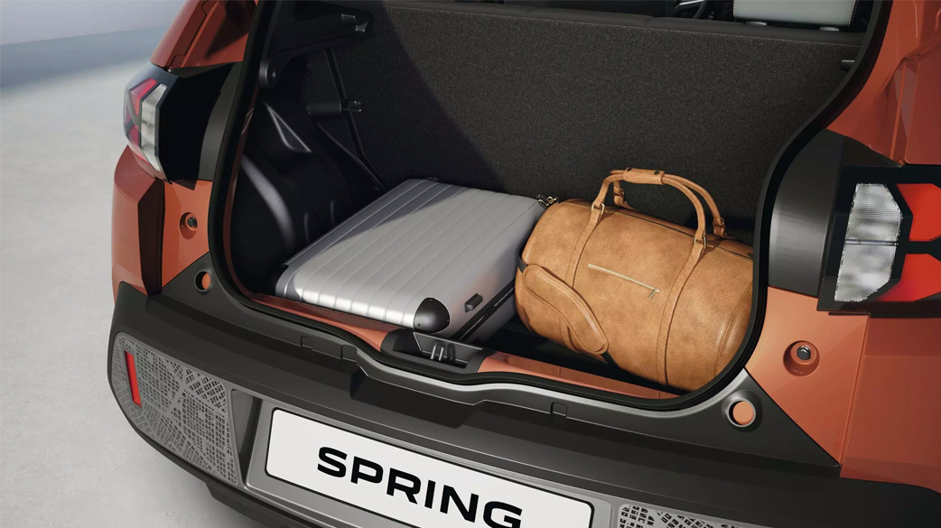 Dacia Spring Citycar Chiappetta Cosenza (3)