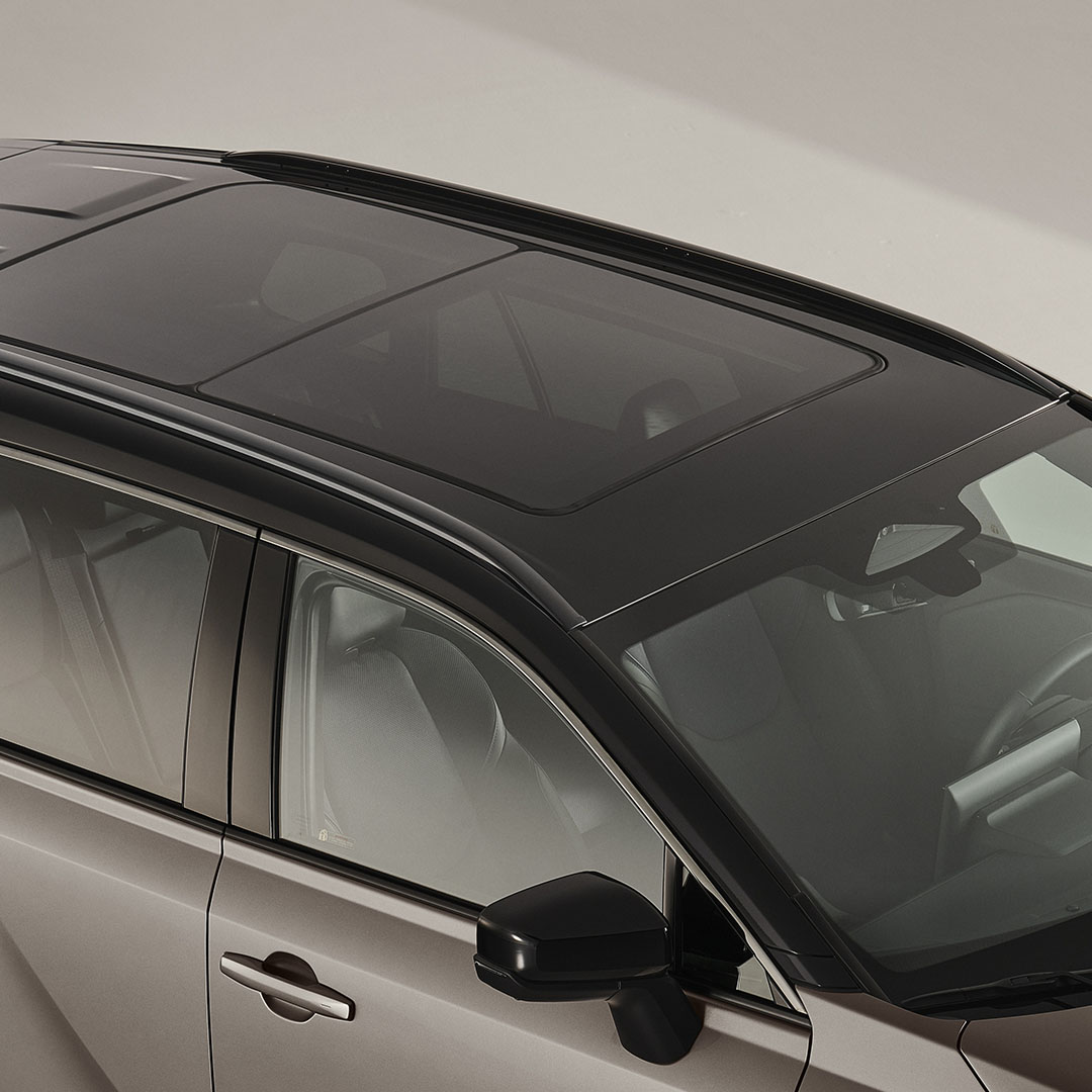 Nuovo Rav4 Toyota Hybrid Plug In Elettrico Benzina Calabria Exterior Cosenza Rende Auto Promozioni Interior Dettagli