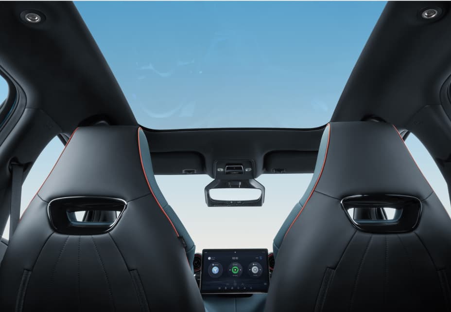 Dolphin Interior 05 L