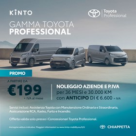 1X1 PROFESSIONAL1 1 GAMMA